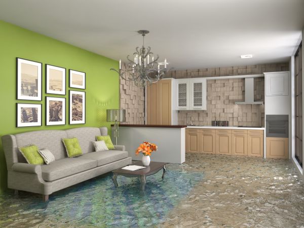 Wet Carpet Drying in Macomb