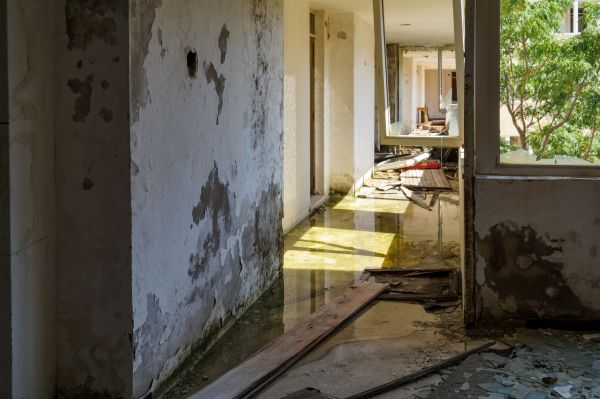 Cost of Water Removal Service in Macomb