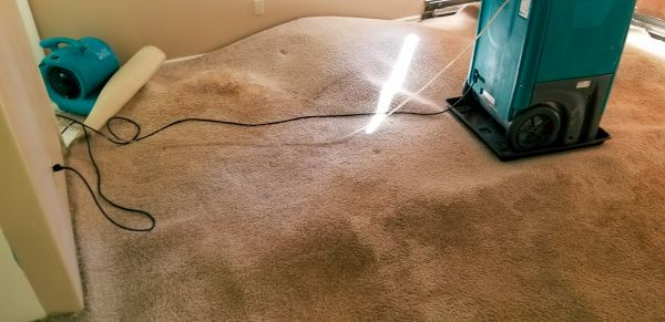 Carpet Water Extraction in Macomb