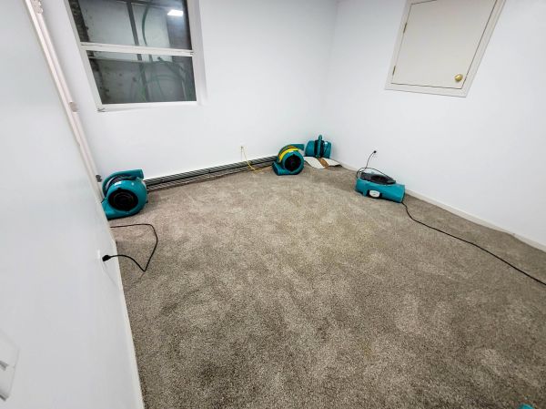 Flood Restoration Service in Macomb